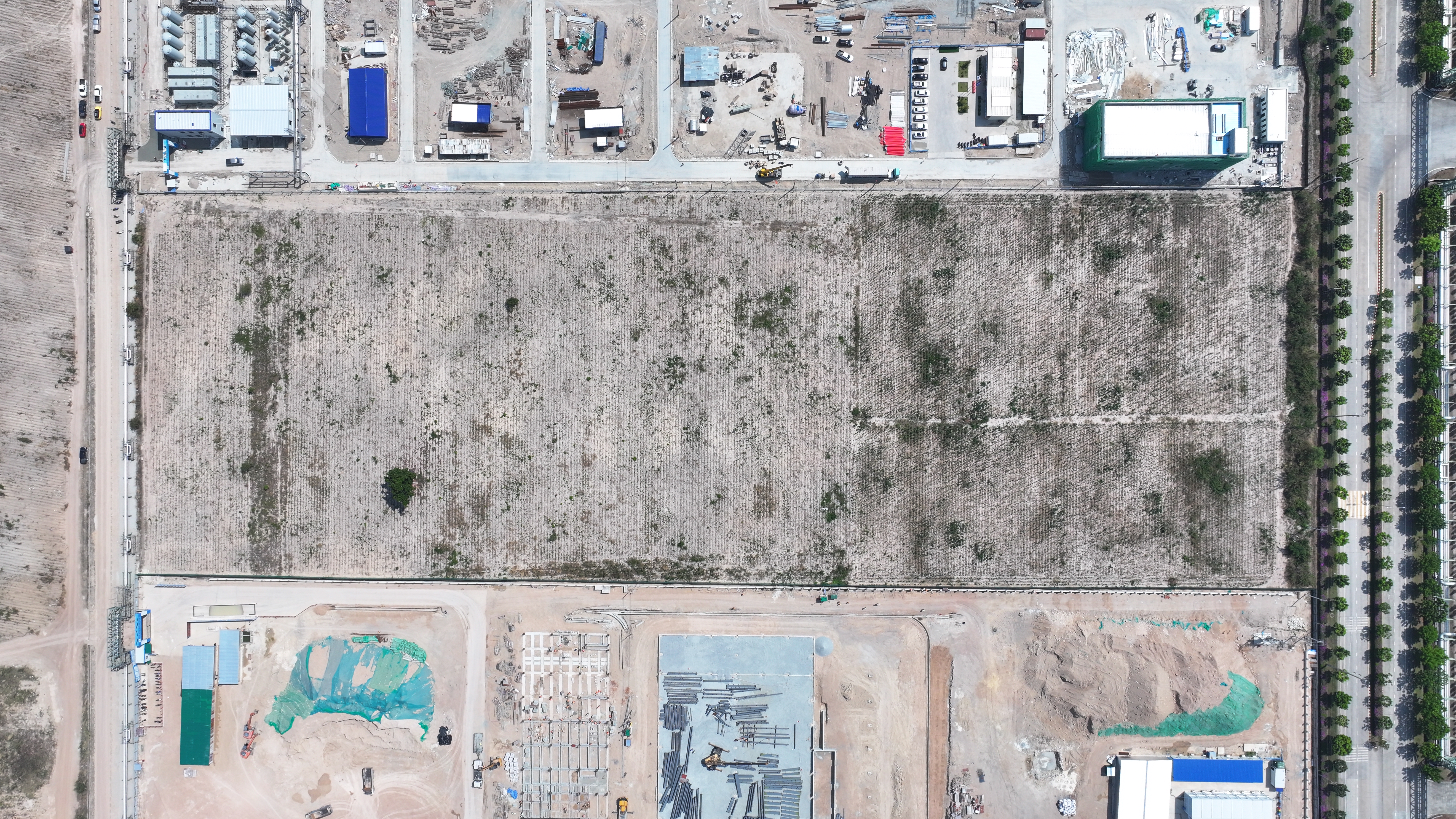 PTTMCC (Polybutylene Succinate)