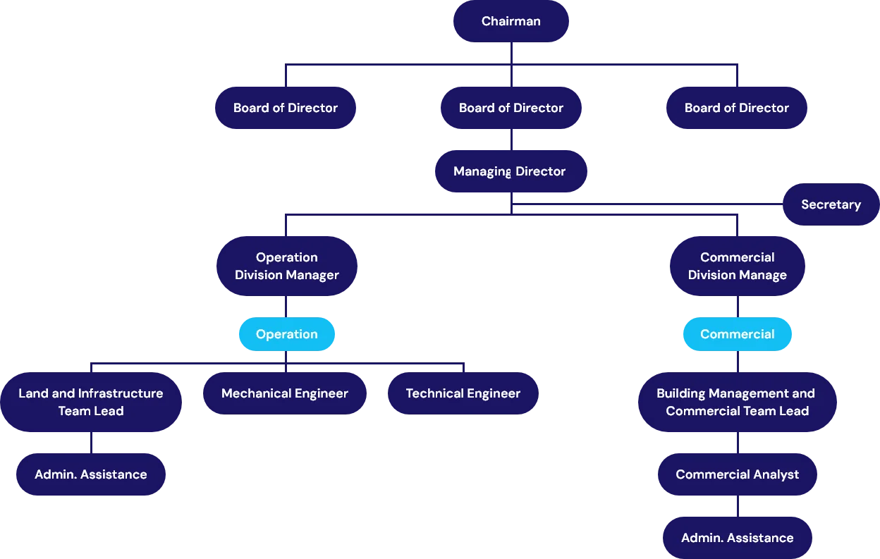 ORGANIZATION  STRUCTURE