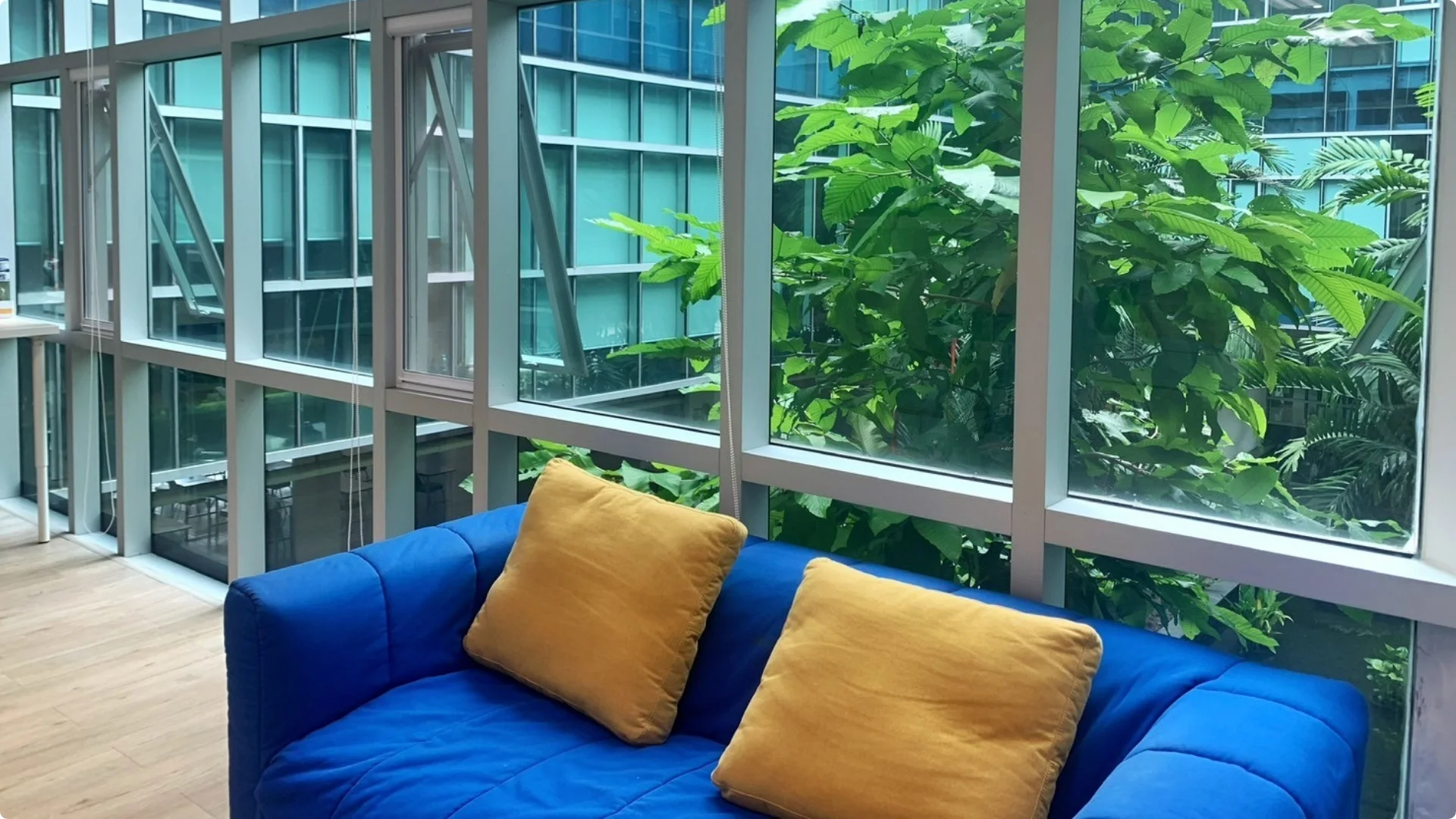 Fully Furnished Office
