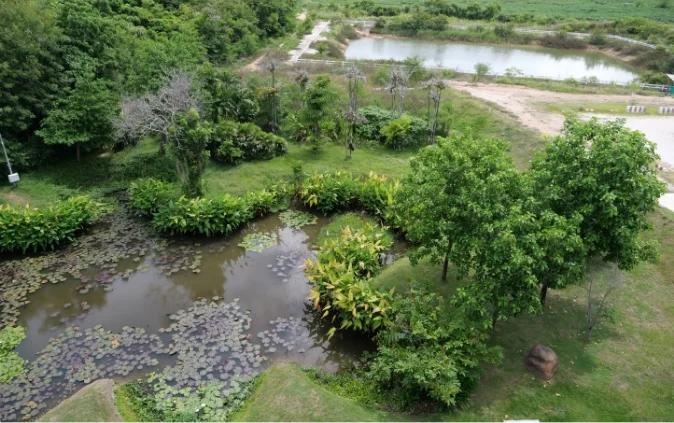 FROM GREEN SPACES TO THE "BREATH" OF THE COMMUNITY AND THE WORLD